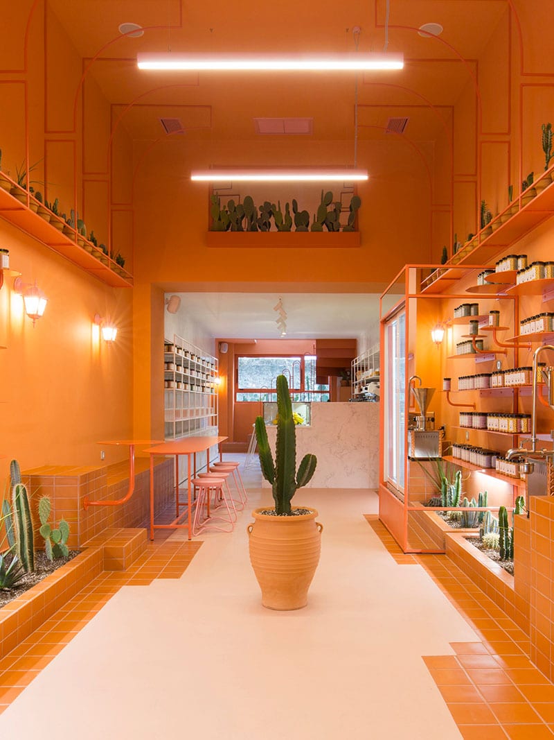 Wild Thyme Honey from Crete