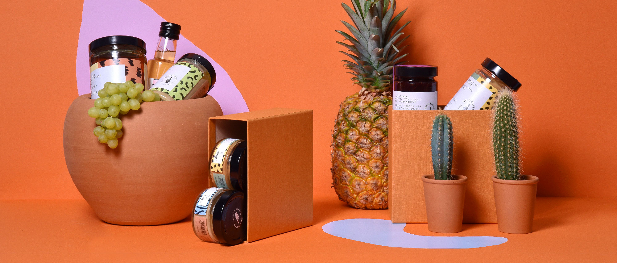 Baby’s First Food & Toys