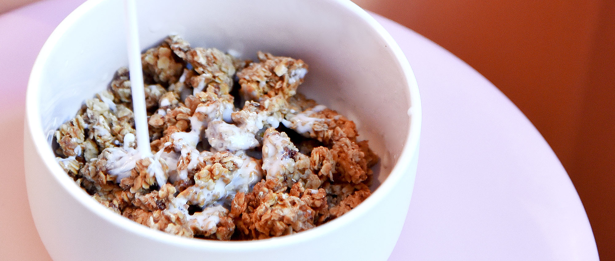 Wild 6 Ingredient Granola