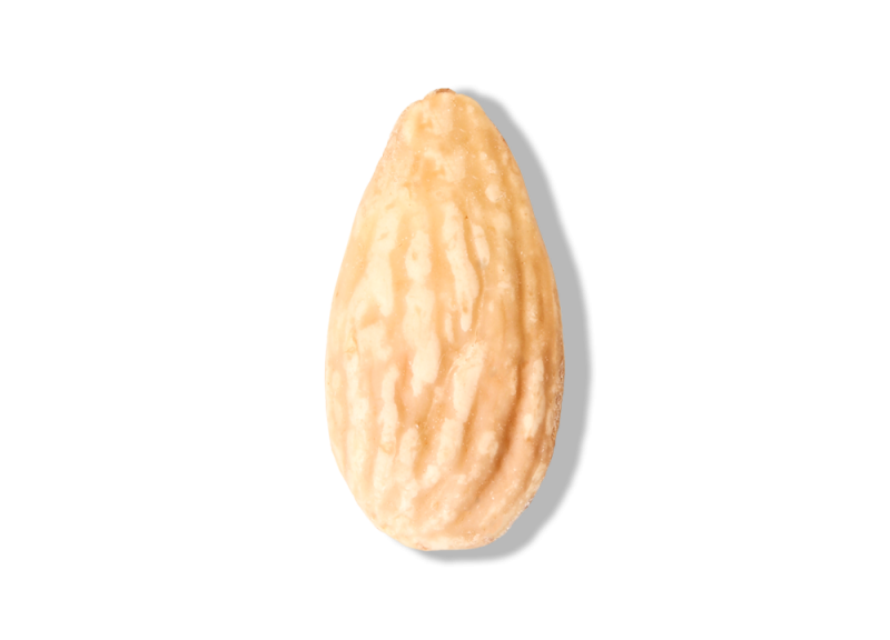 Roasted Blanched Almond