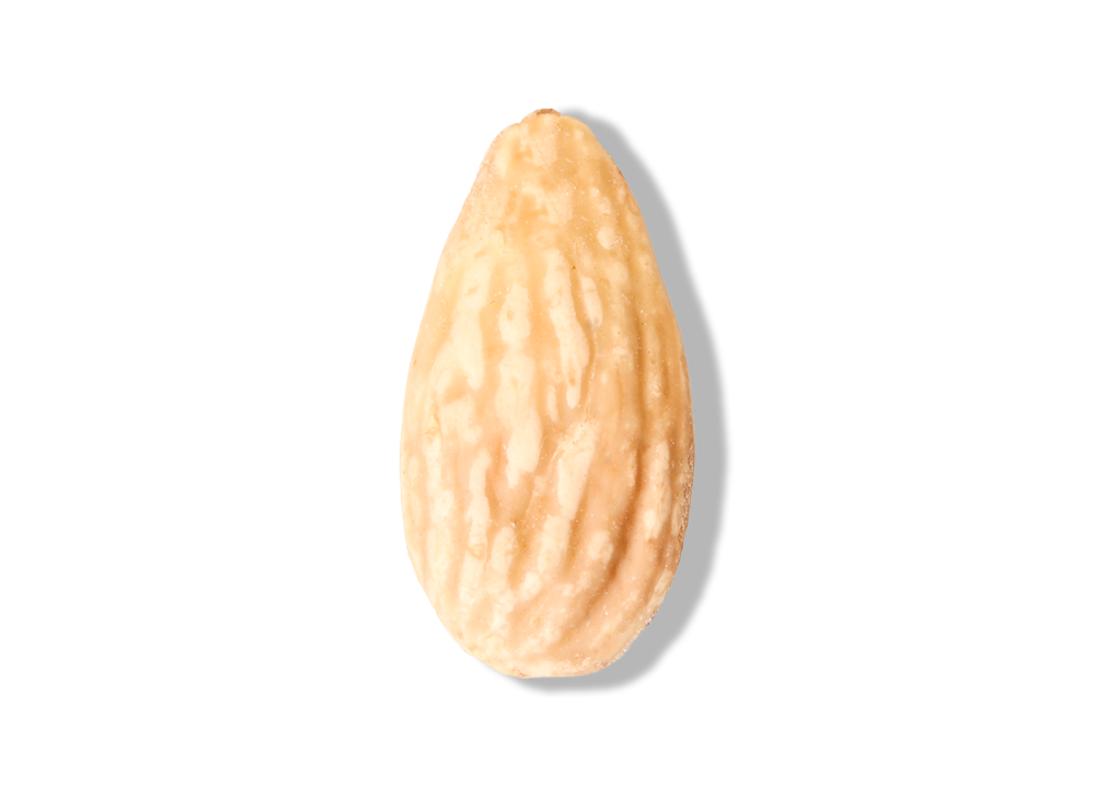Roasted Blanched Almond