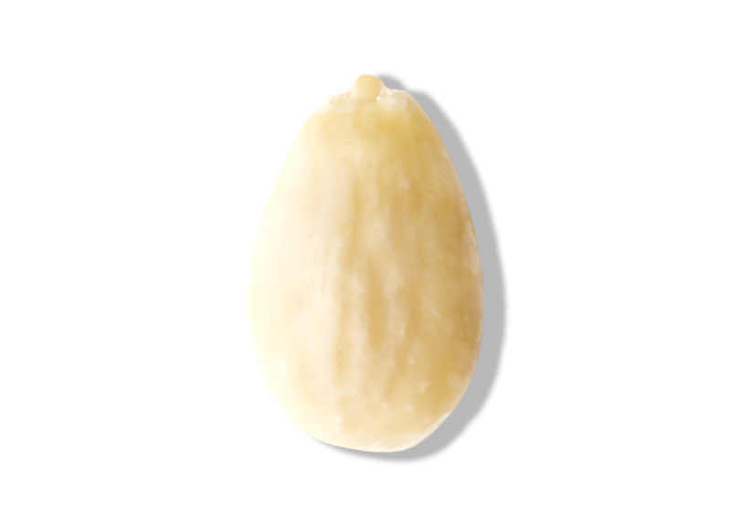 Raw Blanched Almond