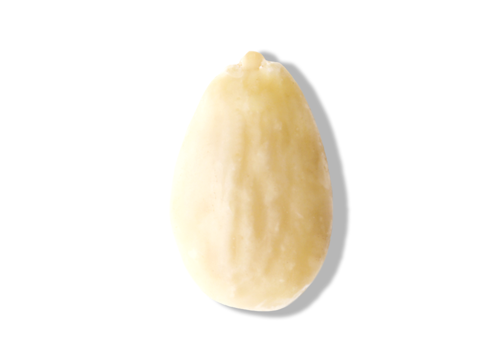 Αμύγδαλο Λευκό Ωμό