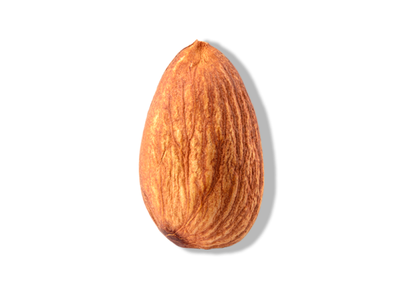 Raw Almond