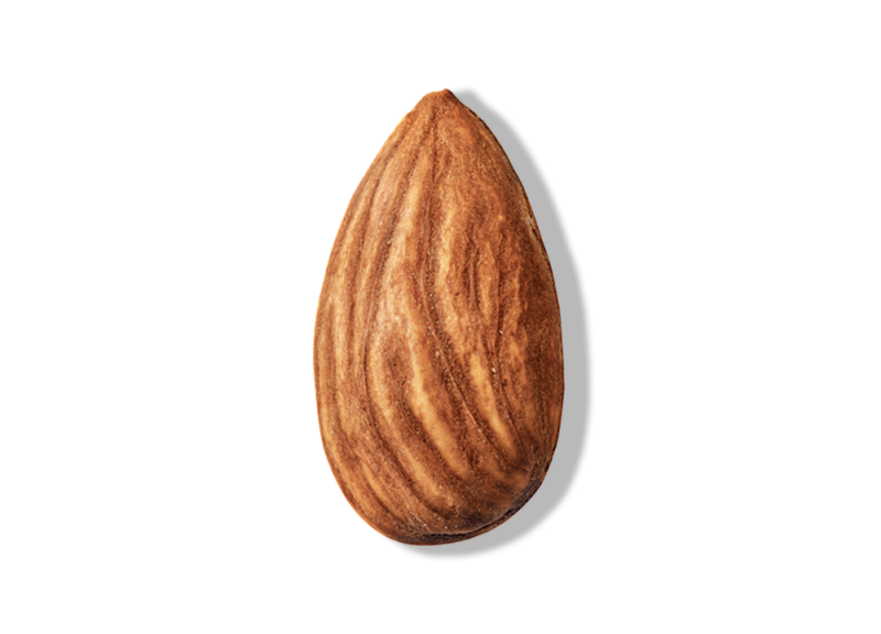 Roasted Almond