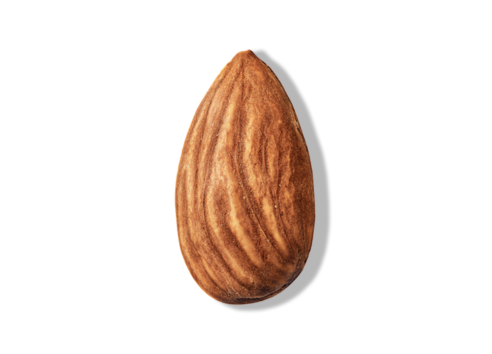 Roasted Almond