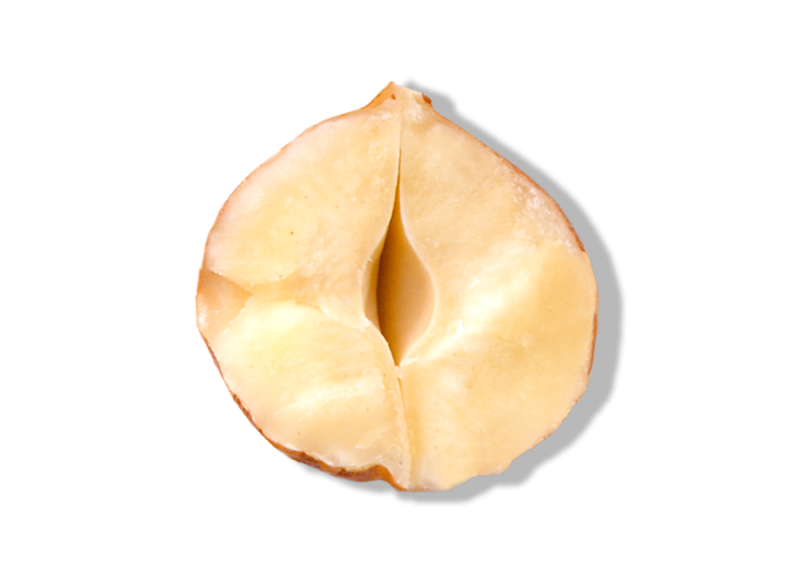 Roasted Hazelnut