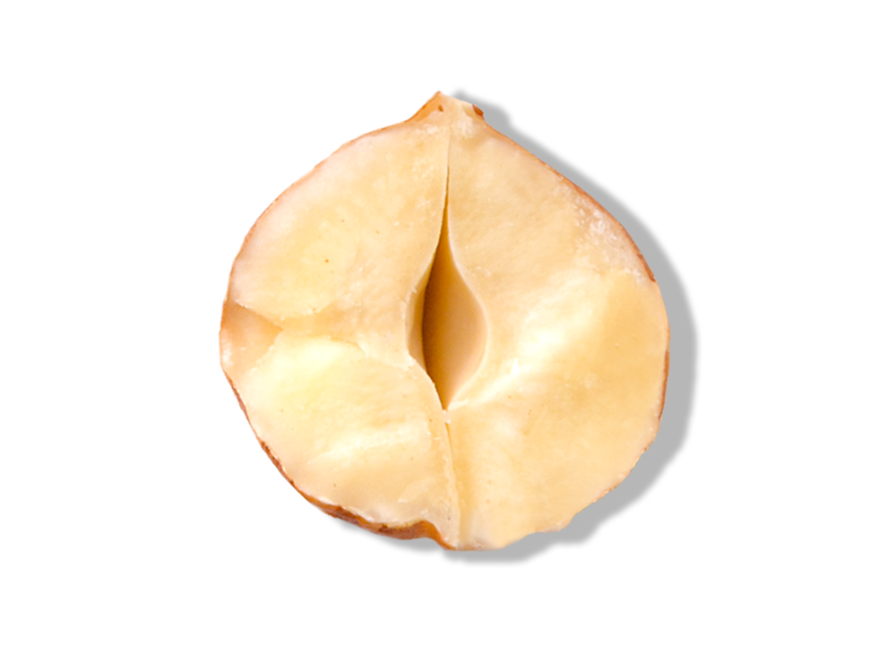 Roasted Hazelnut