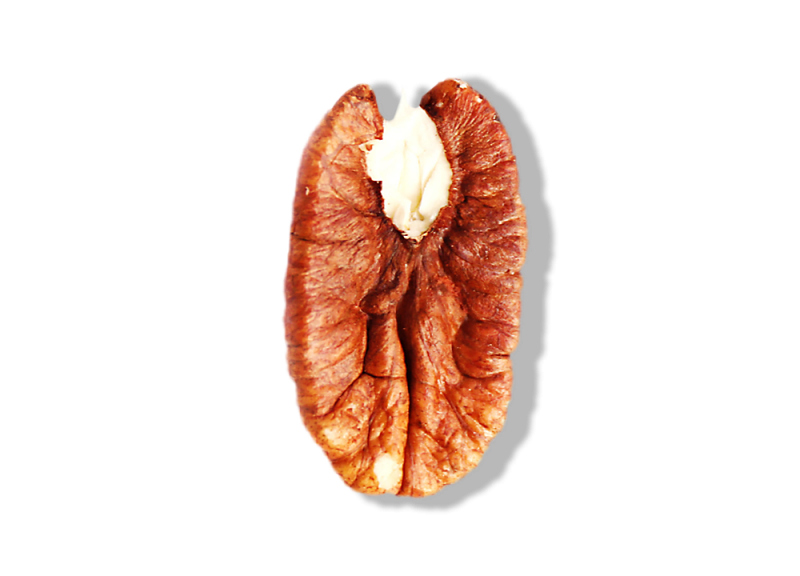 Pecan