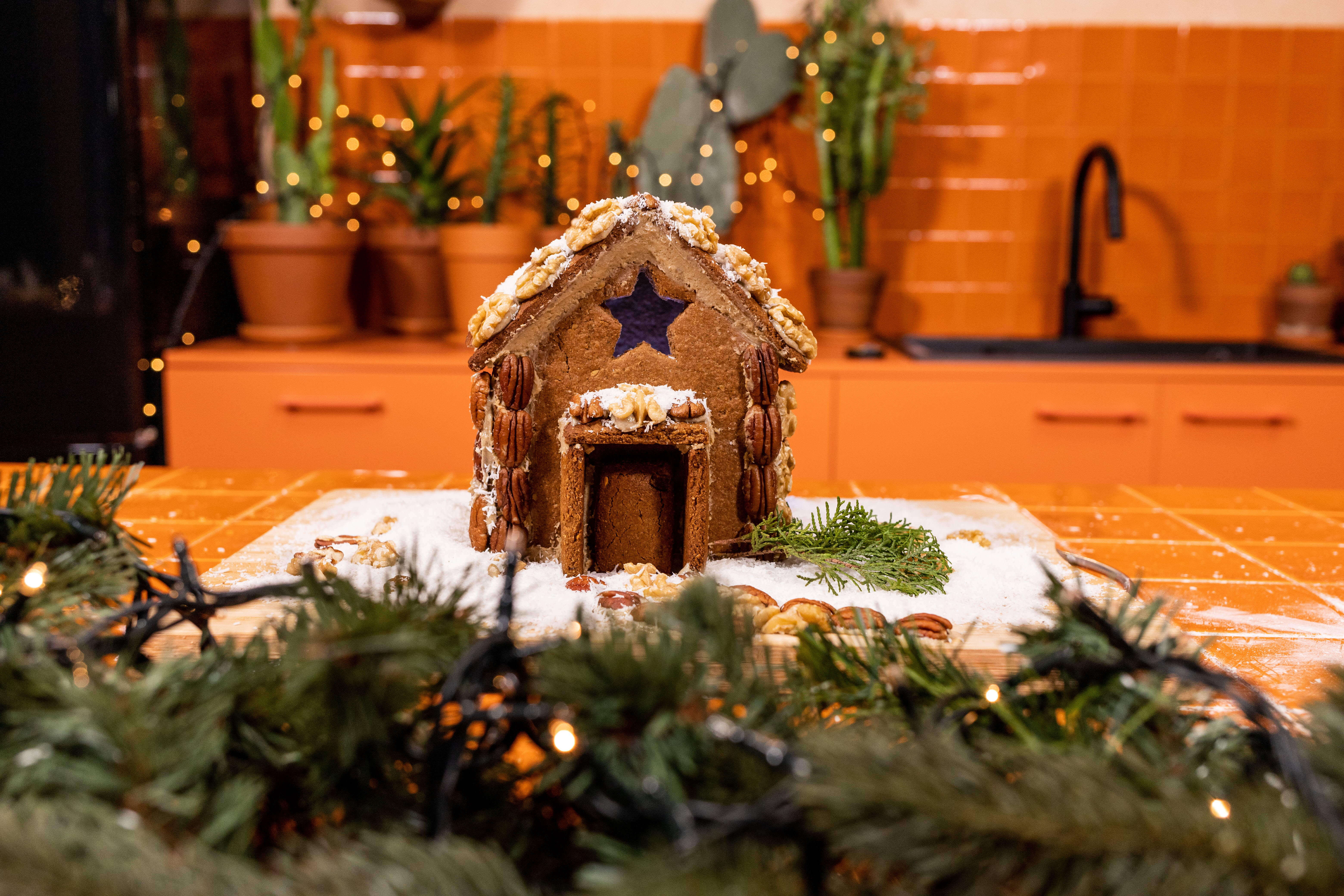 Wild Gingerbread House