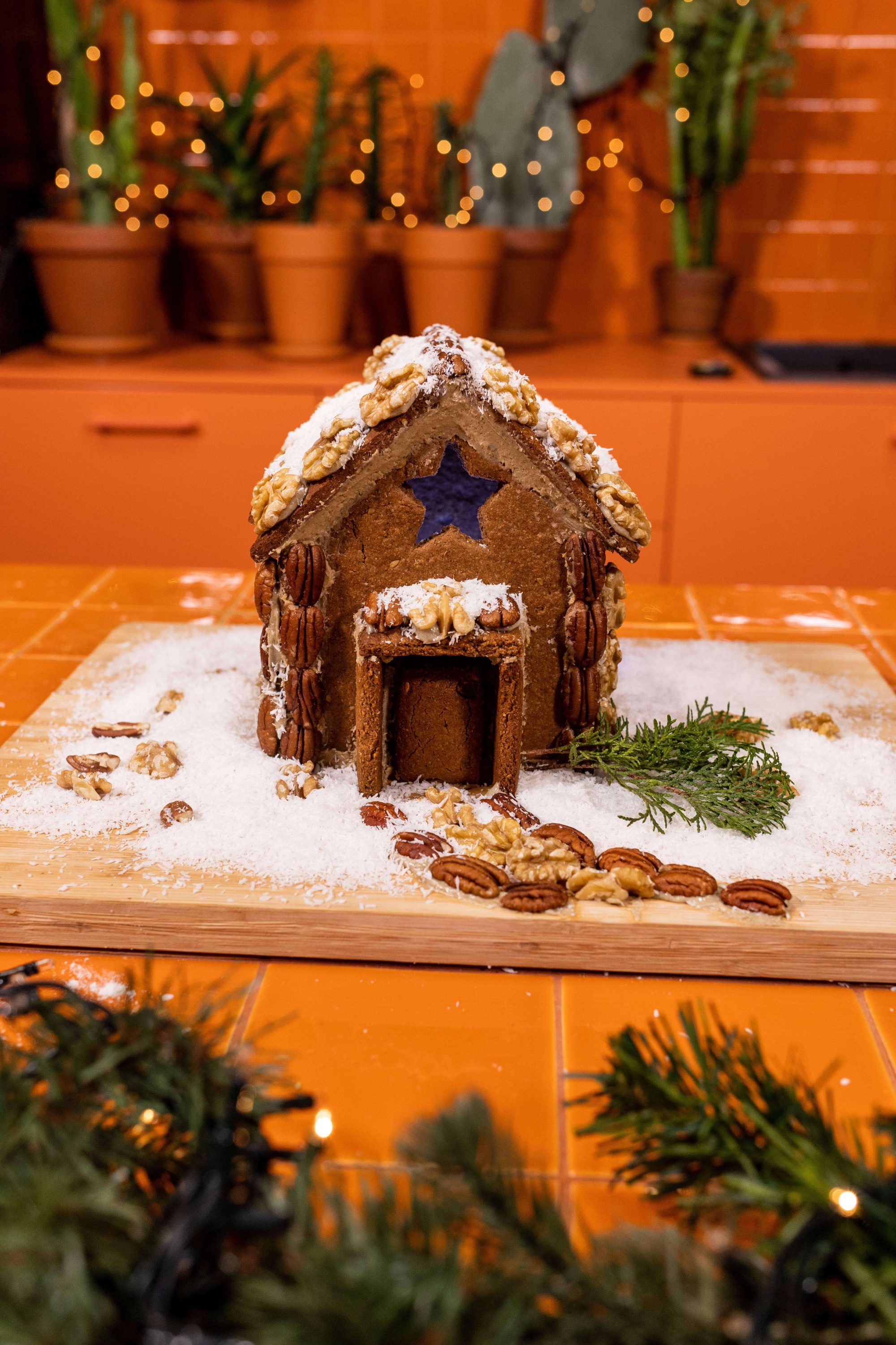 Wild Gingerbread House