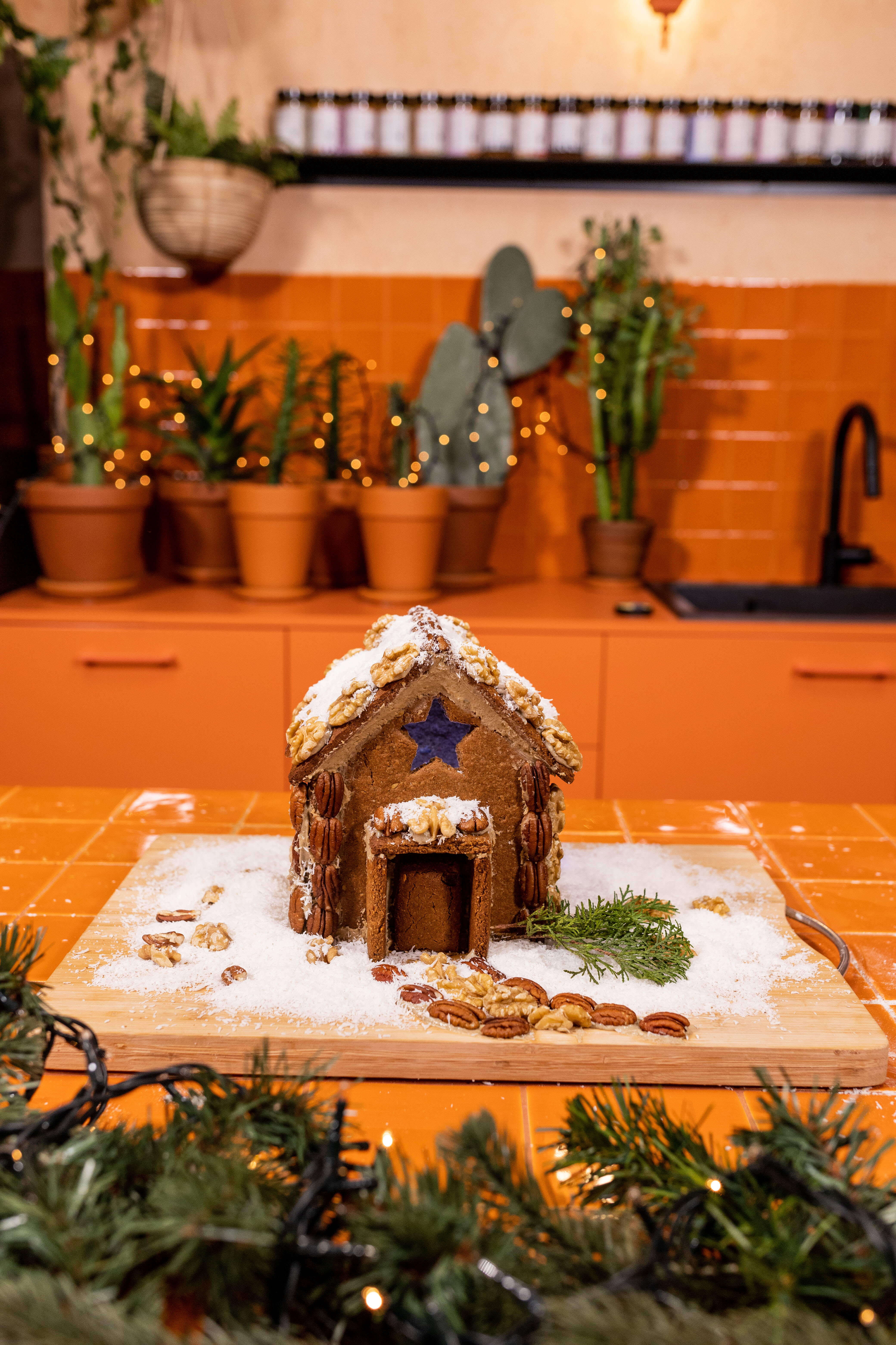 Wild Gingerbread House